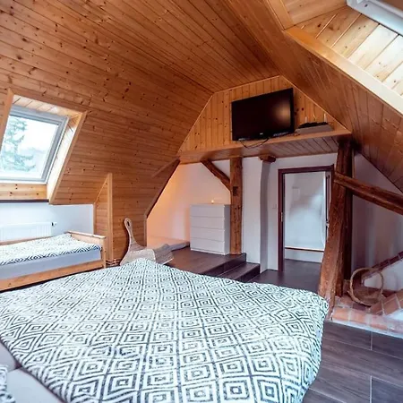 Villa Luxusni Statek S Jedinecnym Wellness Otovice (Nachod)