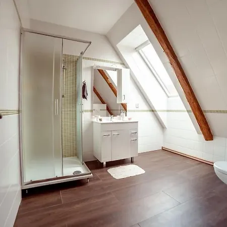 Luxusni Statek S Jedinecnym Wellness Otovice (Nachod)