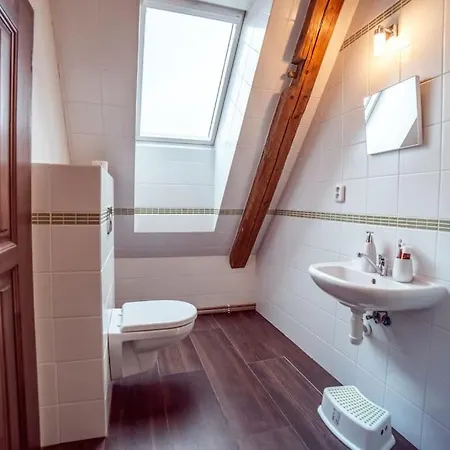 Luxusni Statek S Jedinecnym Wellness * Otovice (Nachod)